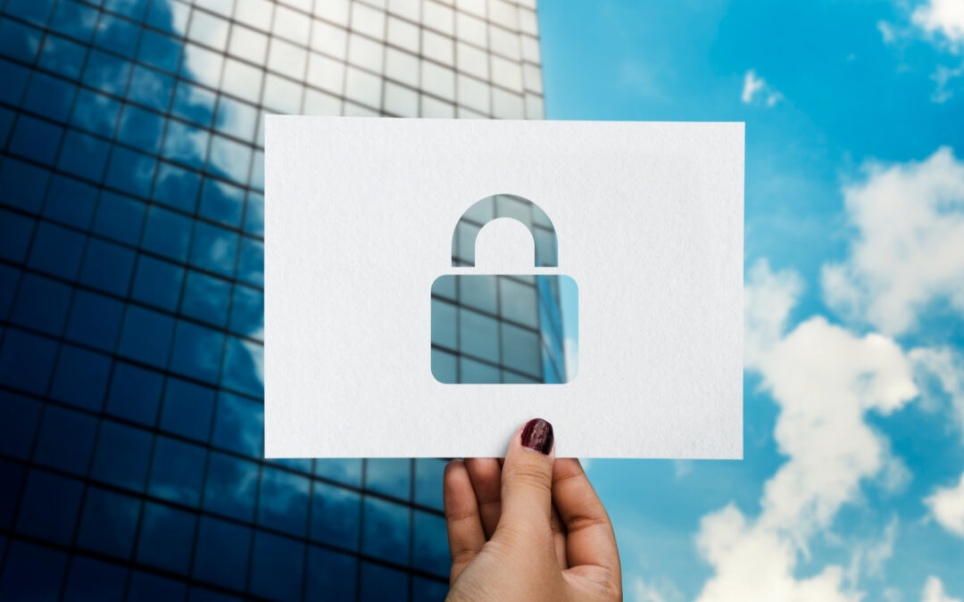 Mitigating Security and Fraud Risks in Public Services
